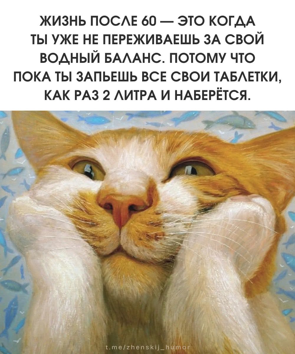 Женский юмор ❤️