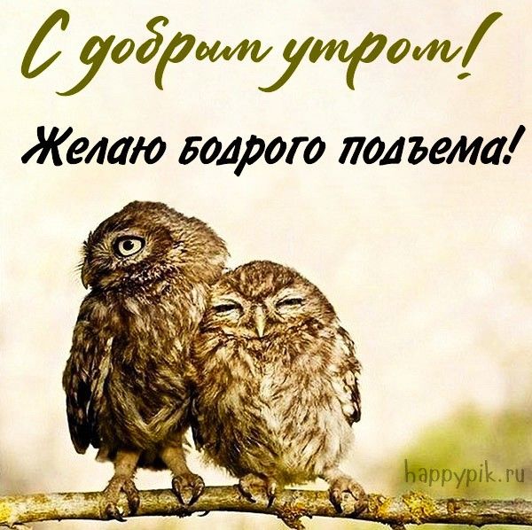 Позитивные картинки Доброе утро 😄 👇 – скачать