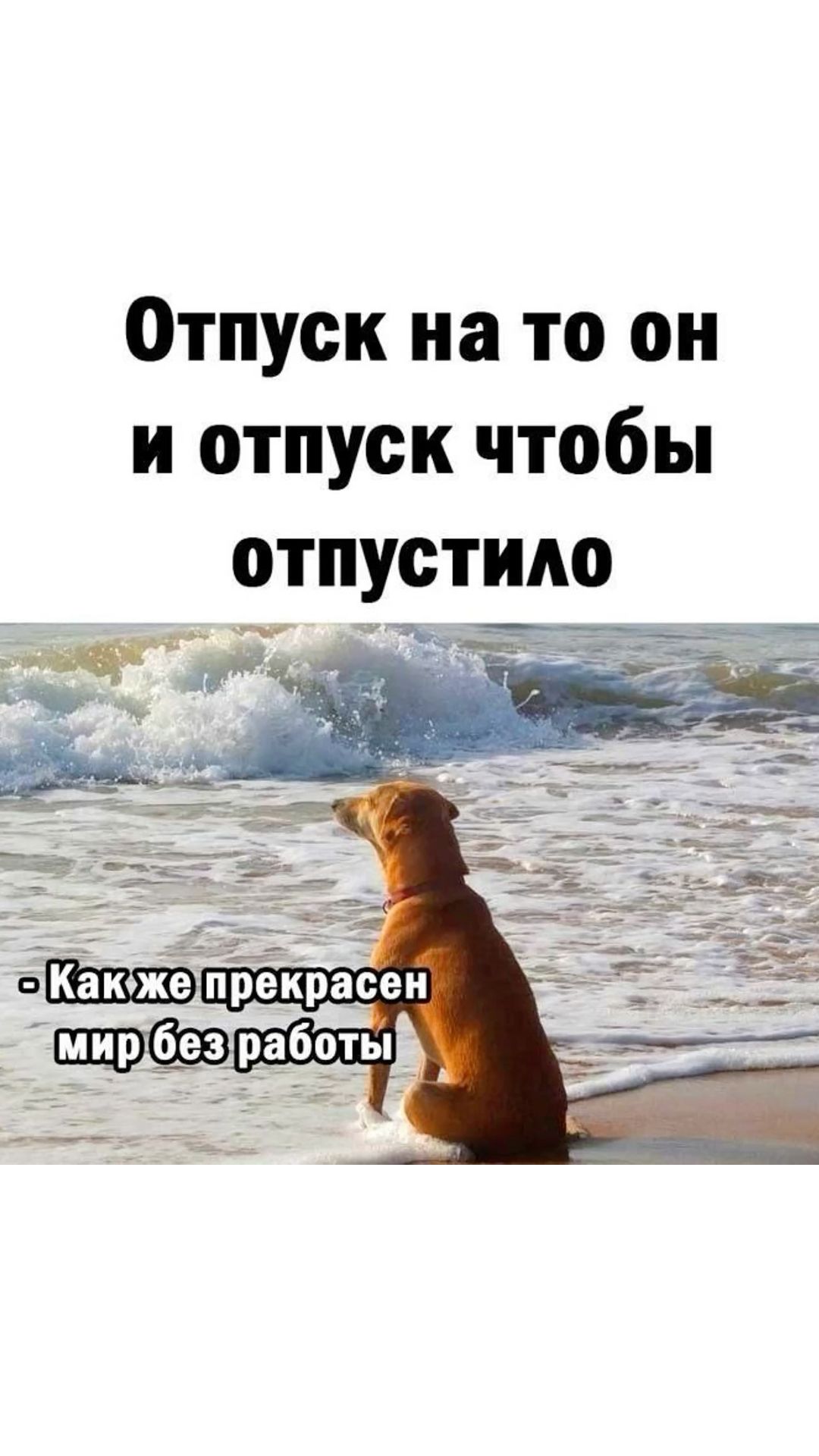 отпускное на канале