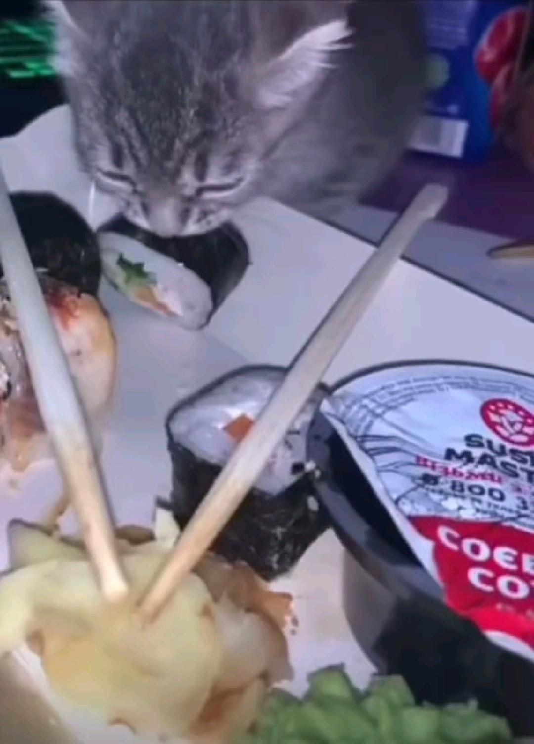 She was a fairy 🧚‍♀️🧚‍♀️🧚‍♀️