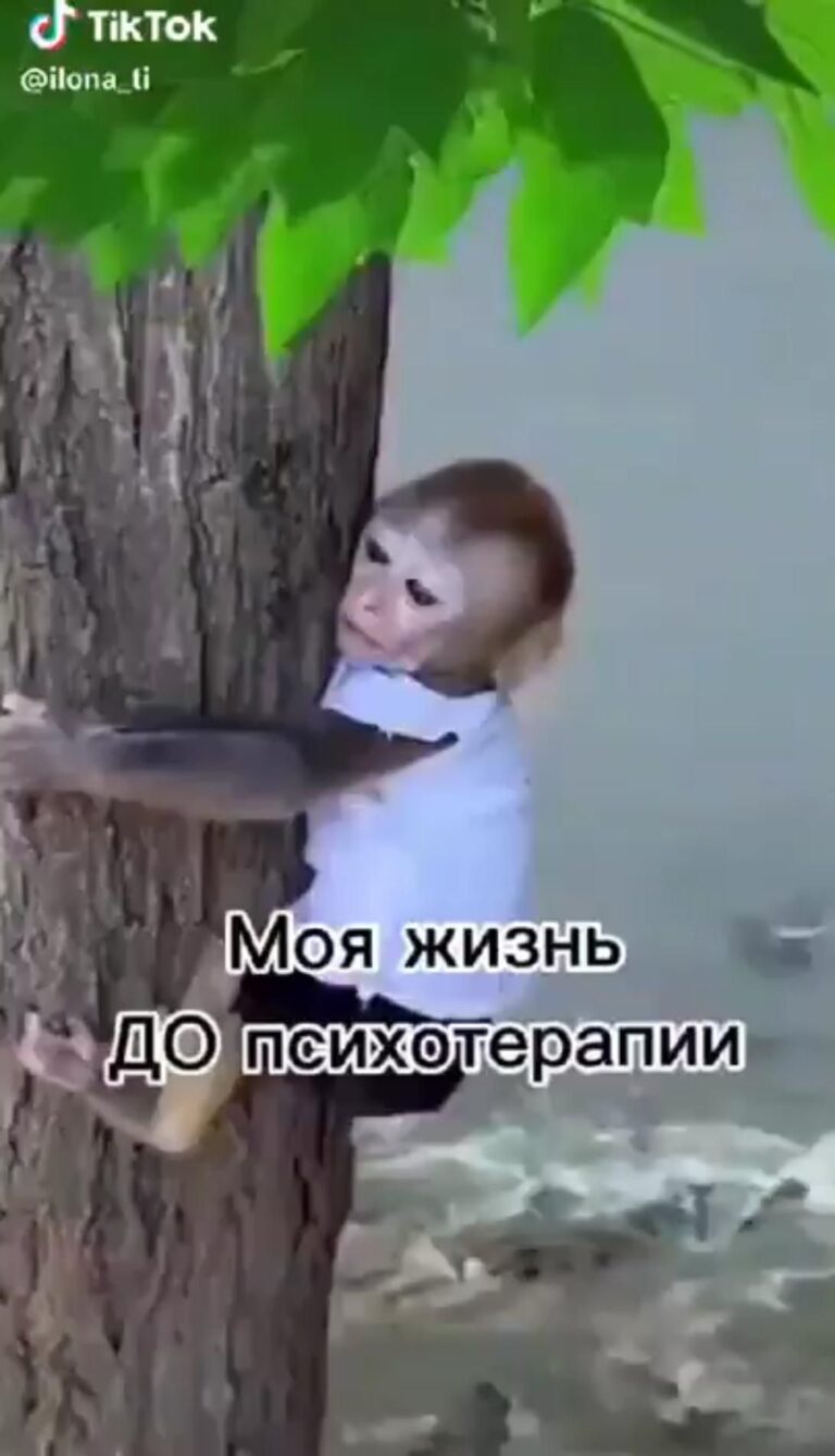 До и после посещения психолога