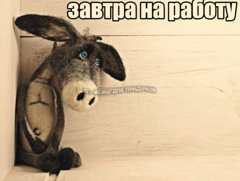 тг: мемы для придурков