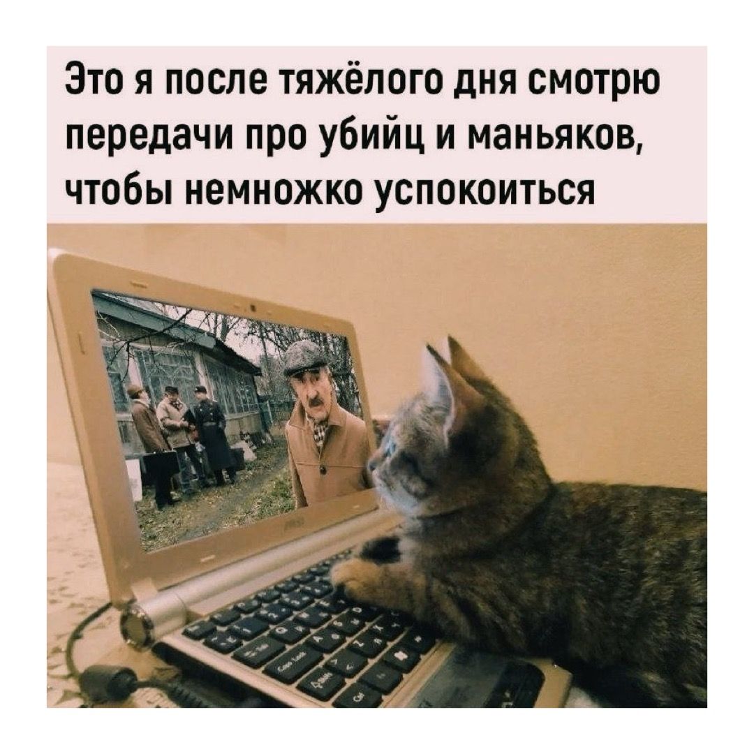 Мемы про работу и юмор о понедельнике | Смешные картинки для презентаций