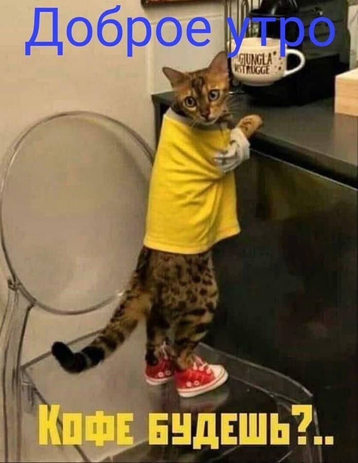 Доброе утро. Кофе будешь?