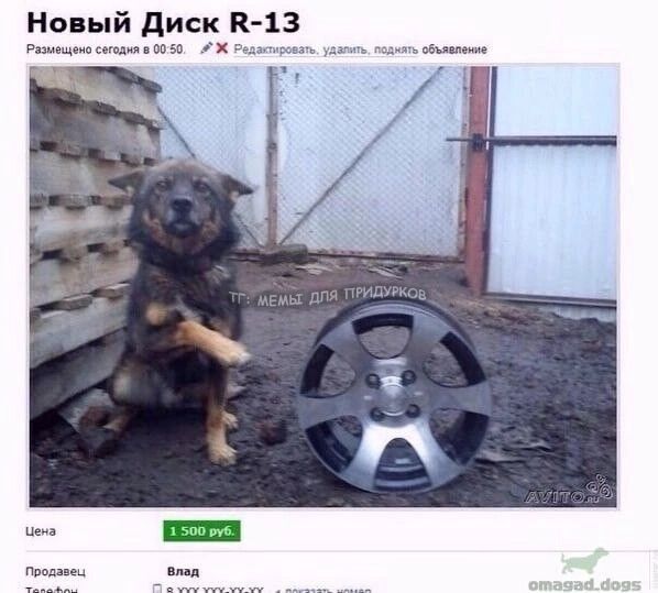 тг: мемы для придурков