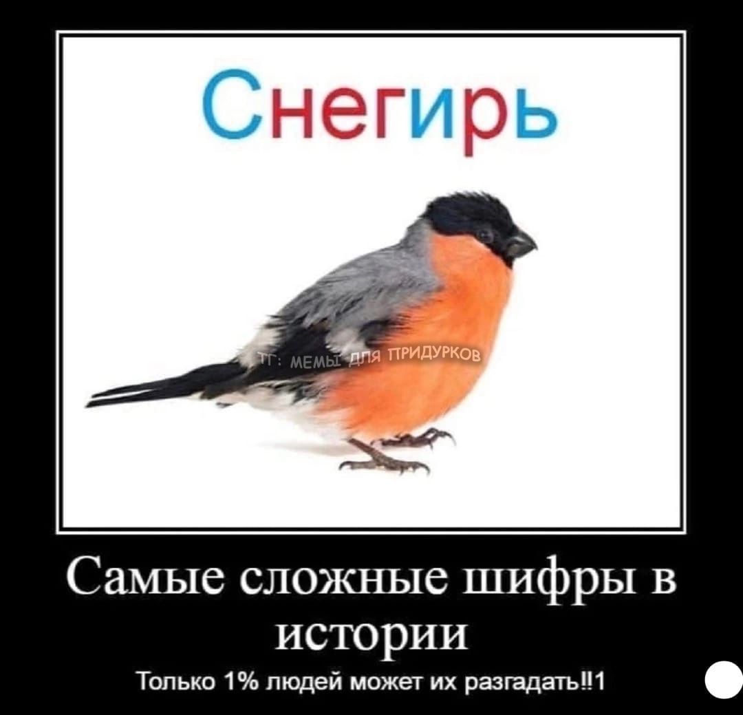 тг: мемы для придурков