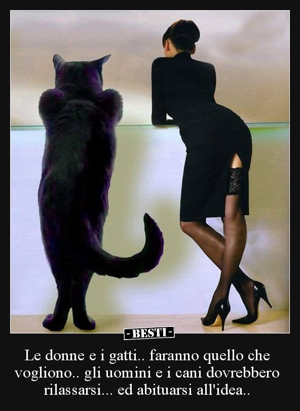 Le donne e i gatti.. faranno quello che vogliono.. gli.. | BESTI.it – immagini divertenti, foto, barzellette, video