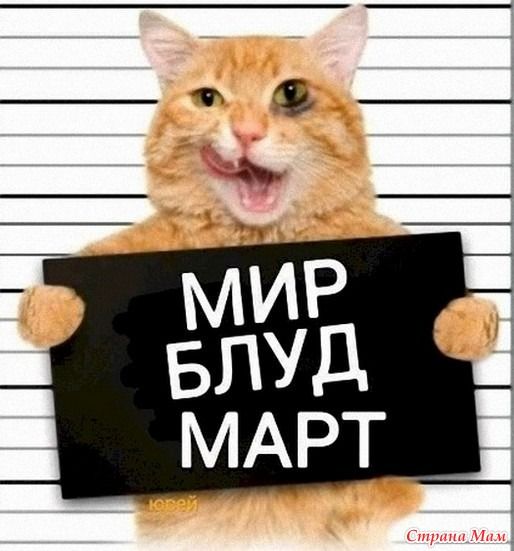 Март – кошачий месяц – 3