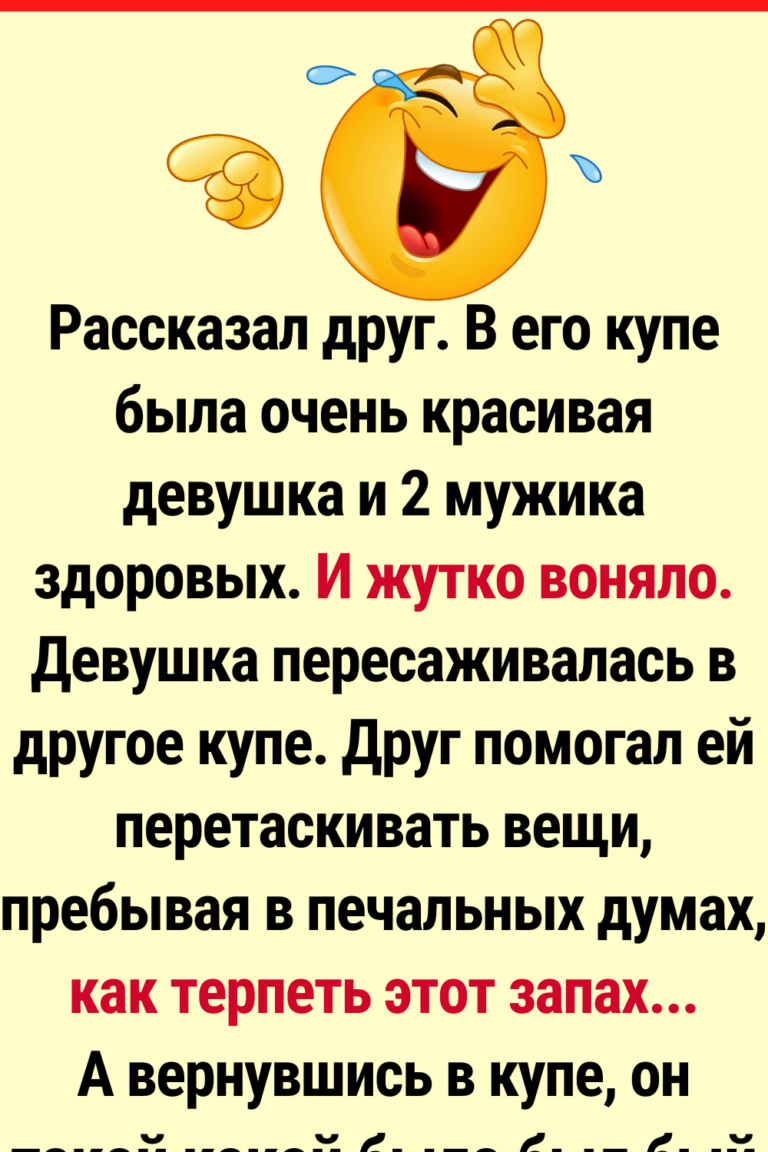 15+ человек, которым попались самые безбашенные попутчики в мире