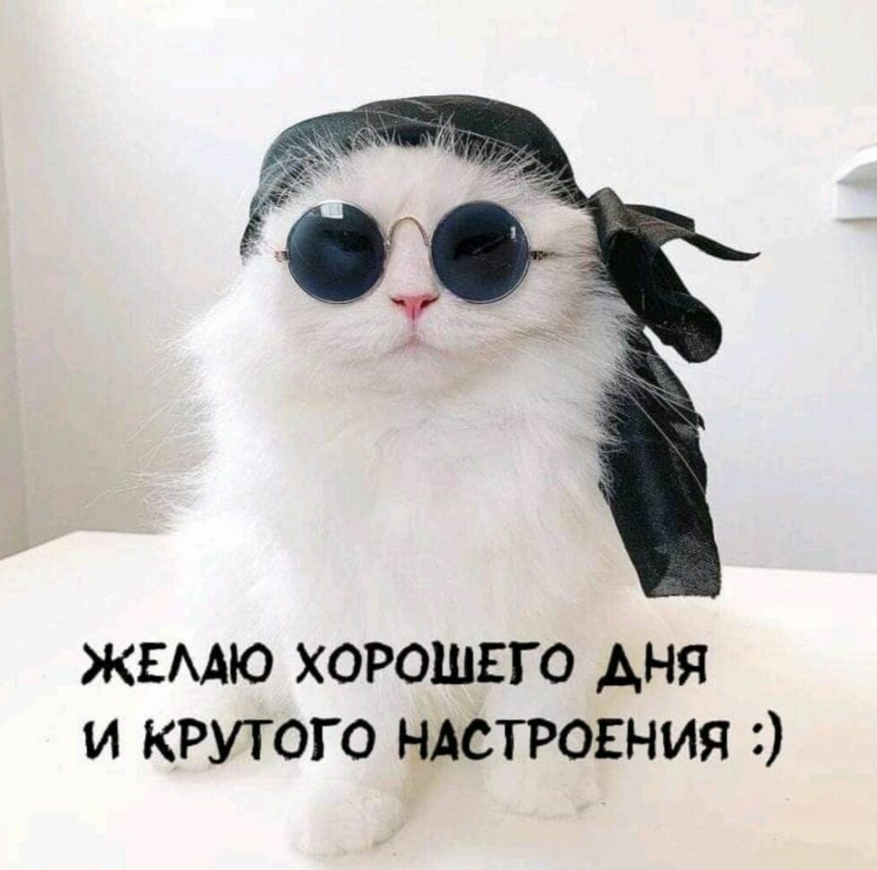 Доброе утро