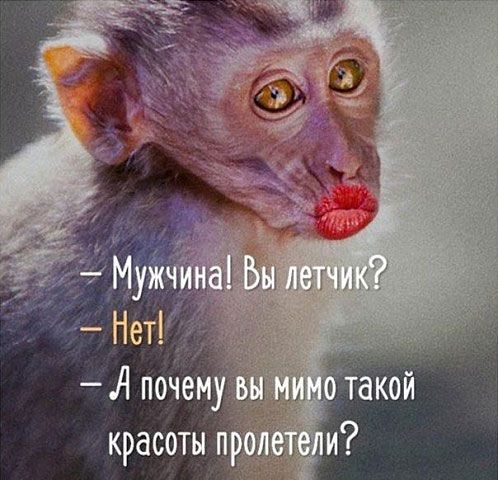 Подборка интересных и веселых картинок – ЯПлакалъ