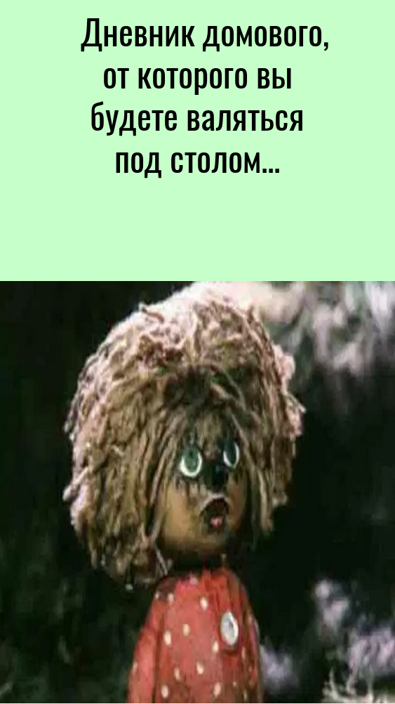 Дневник домового, от которого вы будете валяться под столом