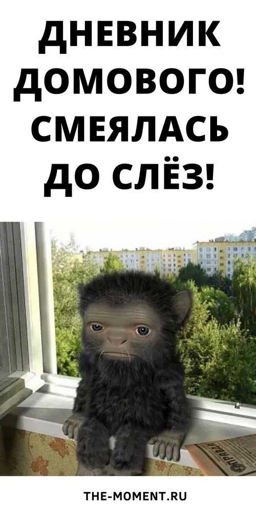 Новый и очень смешной анекдот: дневник домового | Новости