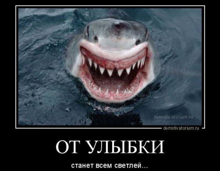 Демотиватор, анекдот и песня дня