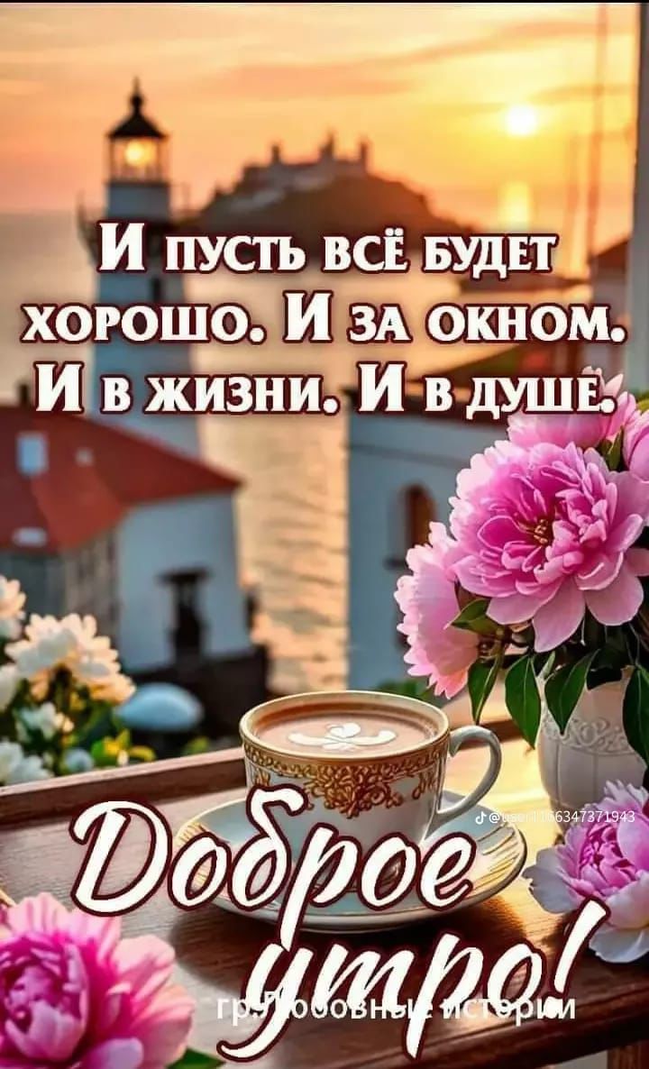 картинки с добрым утром прикольные