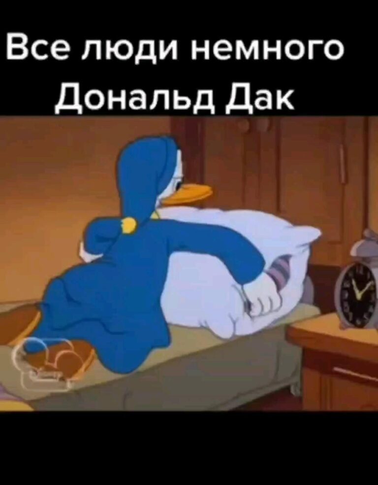жиза😂