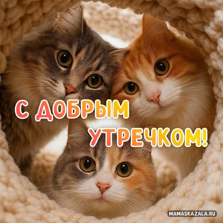 Утренние пожелания для вдохновения