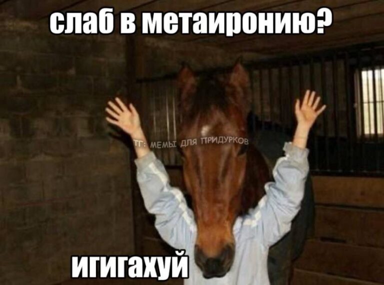 тг: мемы для придурков