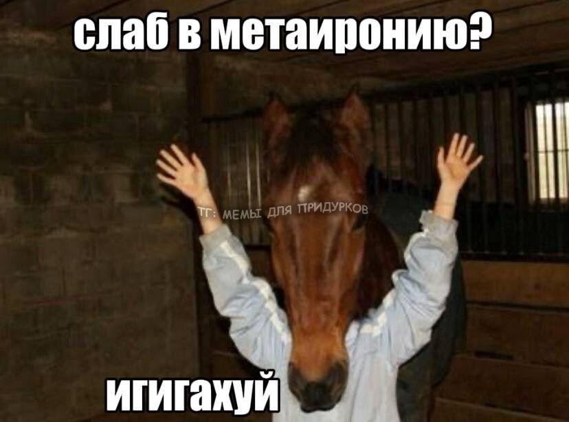 тг: мемы для придурков