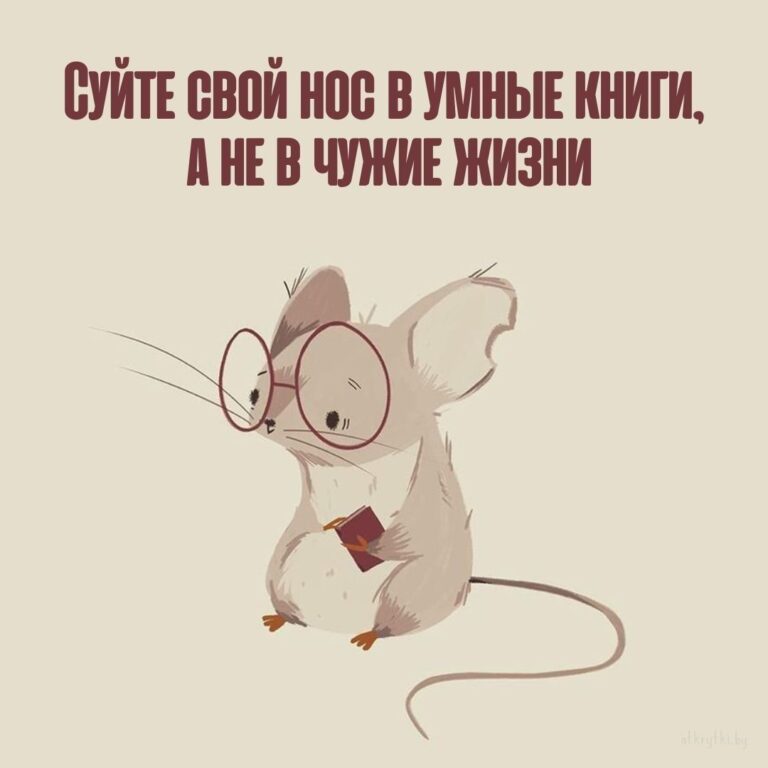 Коллекция картинок с прикольными и полезными советами