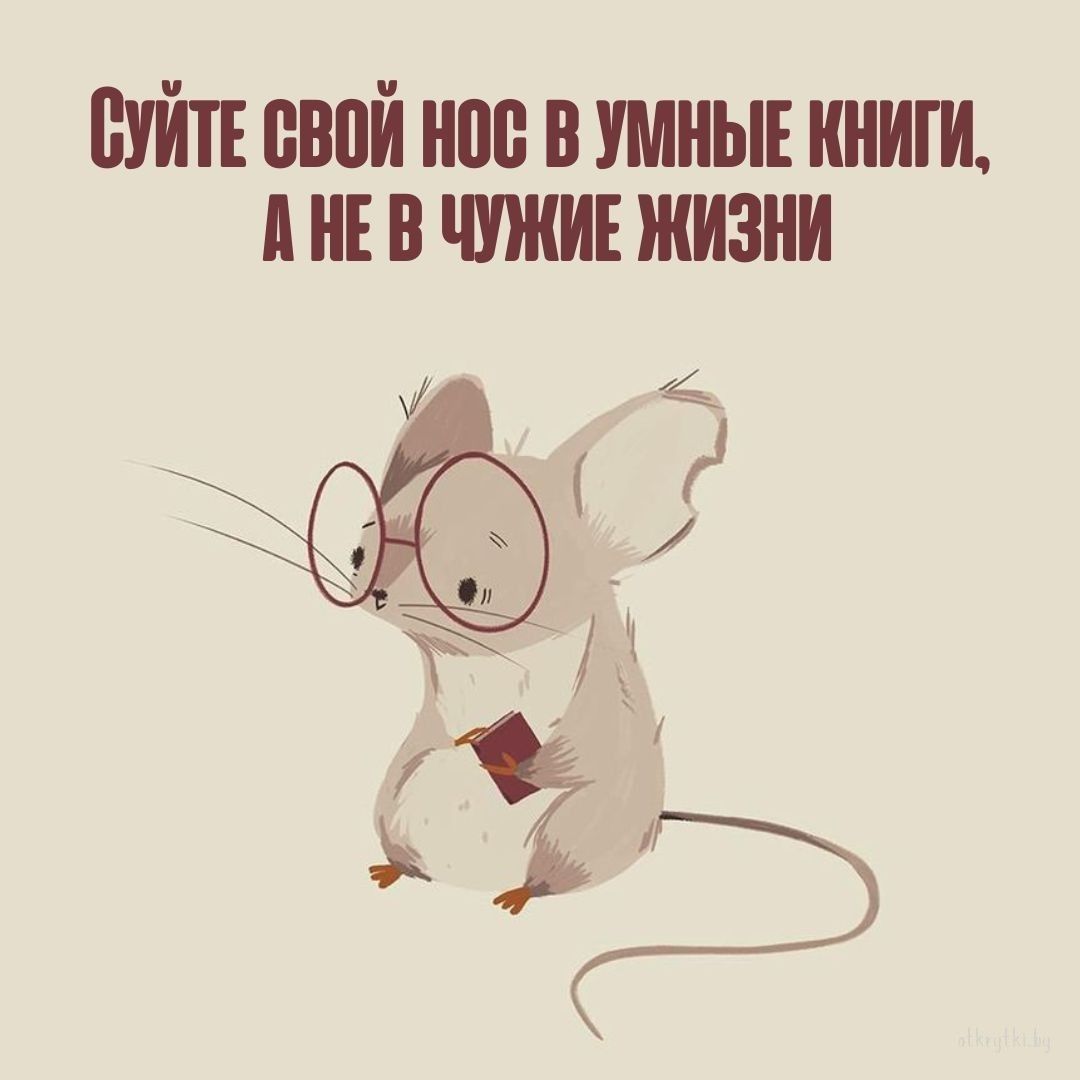 Коллекция картинок с прикольными и полезными советами