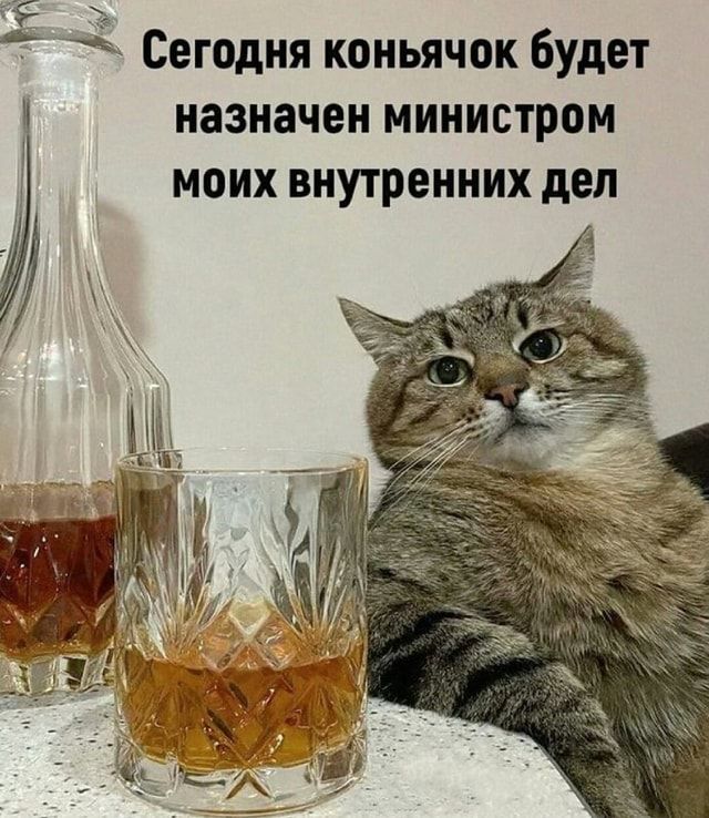 Сегодня коньячок будет I назначен министром моих внутренних дел – АйДаПрикол