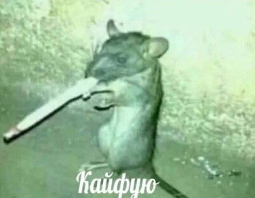 емае кайфую