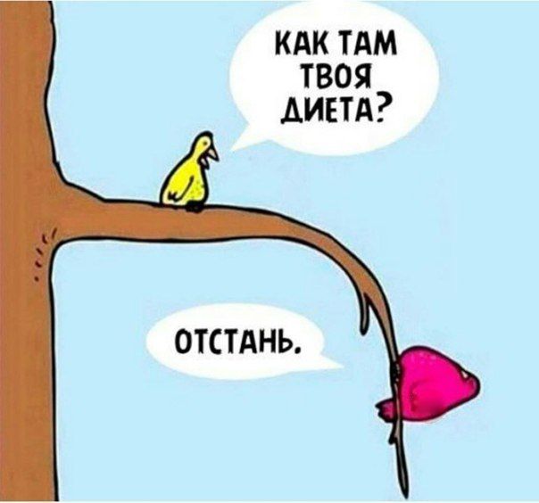 Диета – русский язык как иностранный