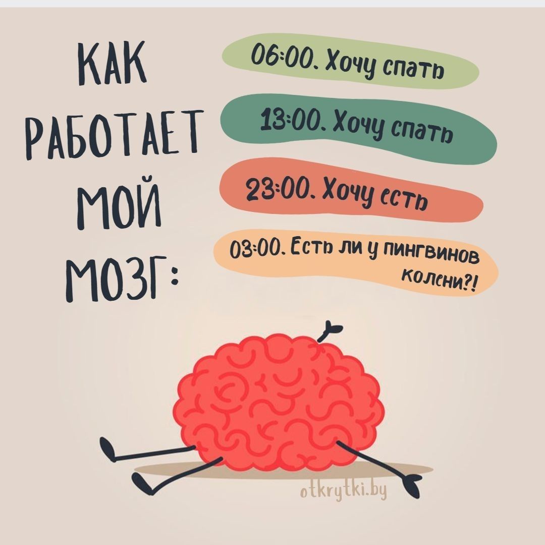 Забавные картинки с веселыми надписями ПРО МОЗГ с юмором