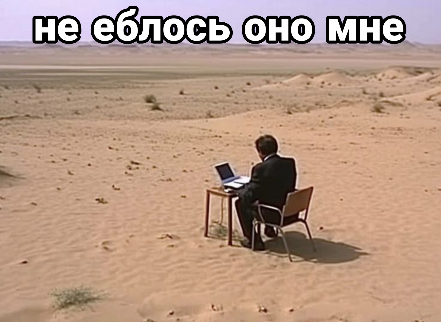 щп тик ток: aolsodi