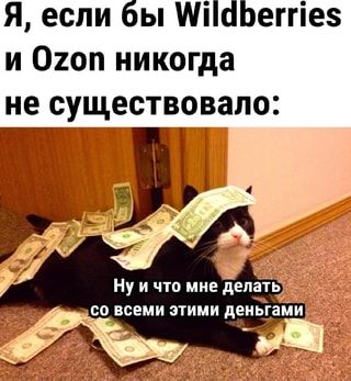 Я, если бы никогда не существовало: Ну и что мне делать со всеми этими деньгами – АйДаПрикол