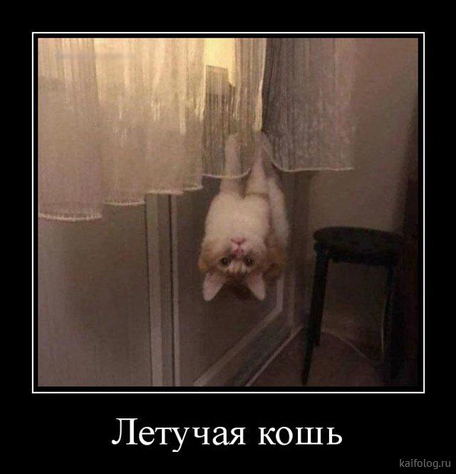 Демотиваторы недели (35 картинок)