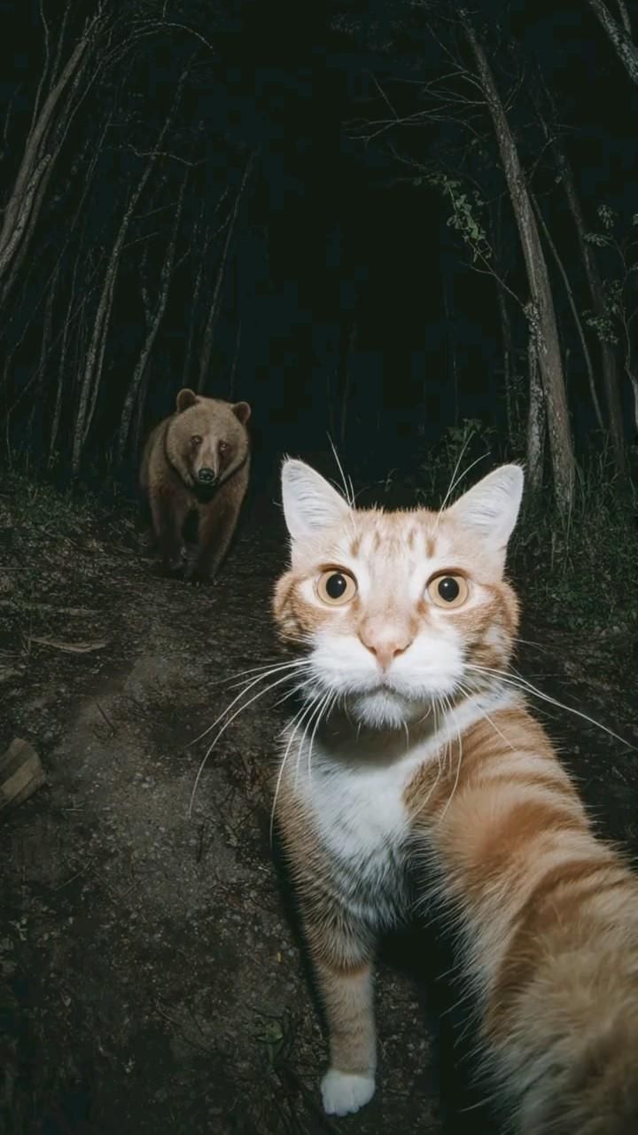 Приключения Котовского 💚