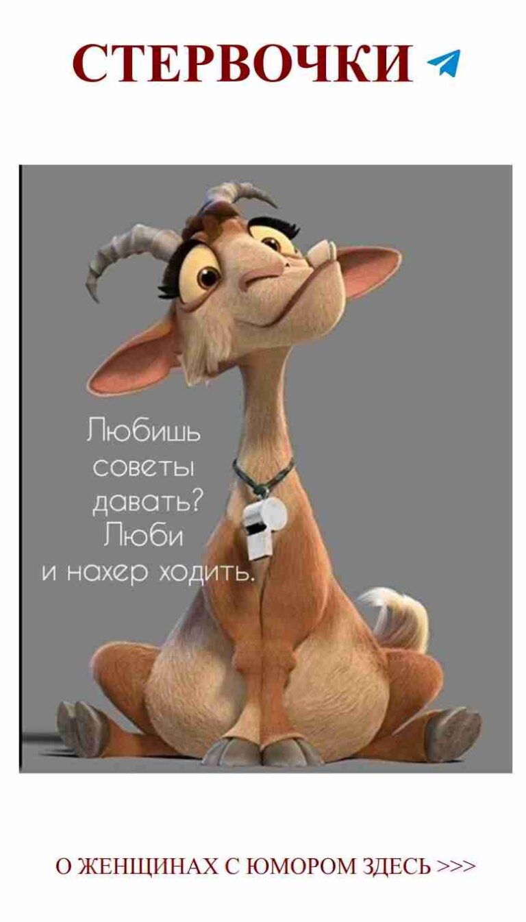 Смешные моменты дружбы: любовь и веселье в одном пине