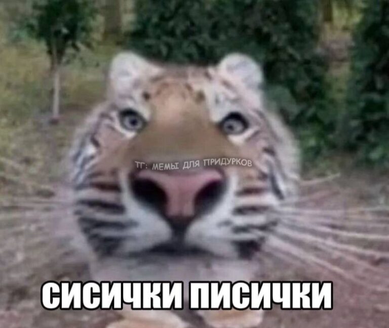 тг: мемы для придурков