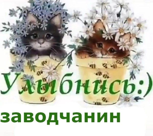 улыбнись заводчанин