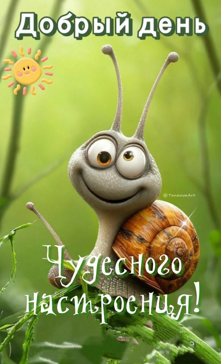 хорошего дня 😌😌😌😌