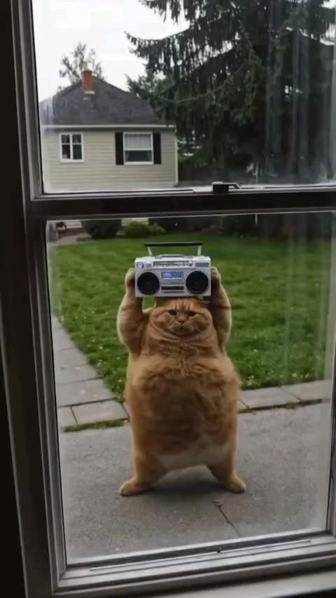 Муд после рабочего дня