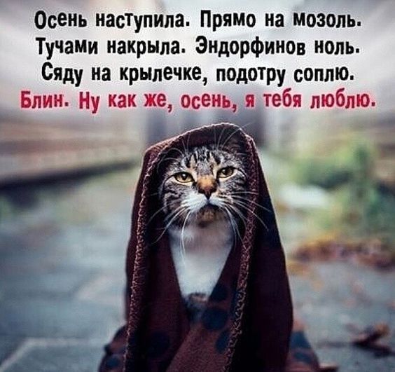 женский юмор в картинках898