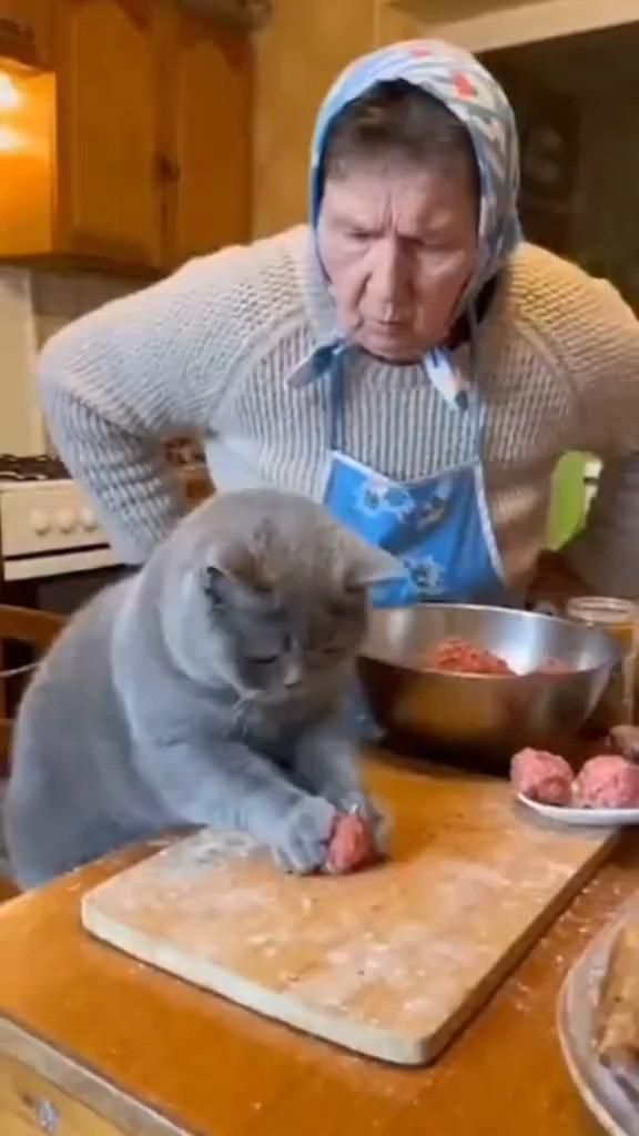 БАБУШКИН ПОМОЩНИК##ПОДПИСЫВАЙСЯ СТАВЬ ЛАЙК ПИШИ КОМЕНТ 👍🔥💯✌️😉🤘🫶😁