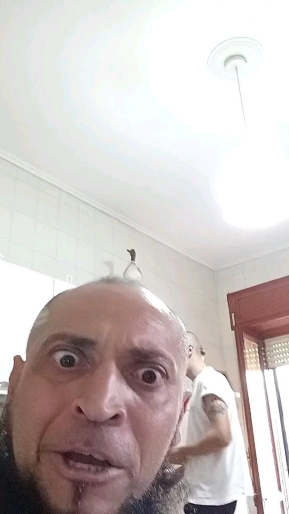 АХАХХАХАХА УЖЕ 3 ЧАС РЖУ