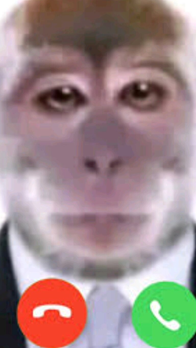 друг позвонил