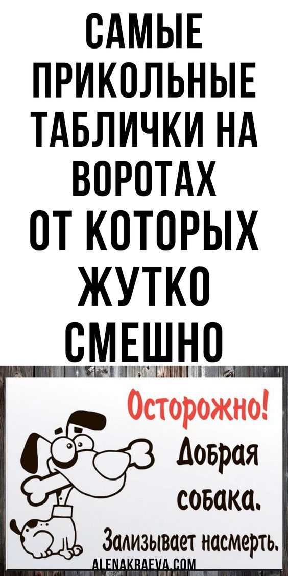 картинки смешные472