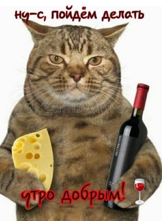 юмор очень смешно 159