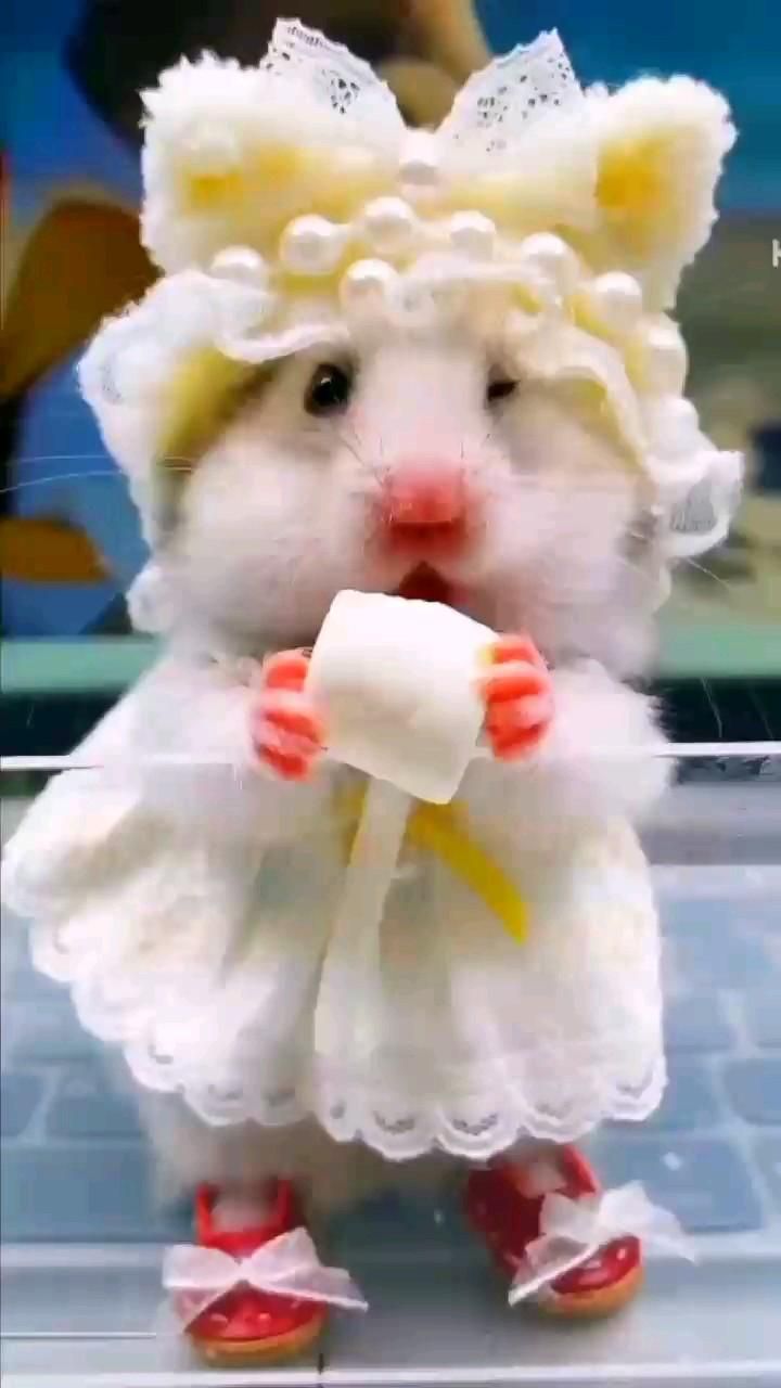 Всем Красавишнам доброе утро😄👌