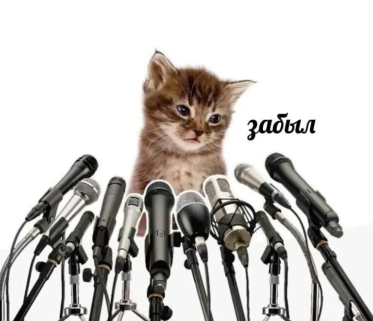 тгк – супер мили котики