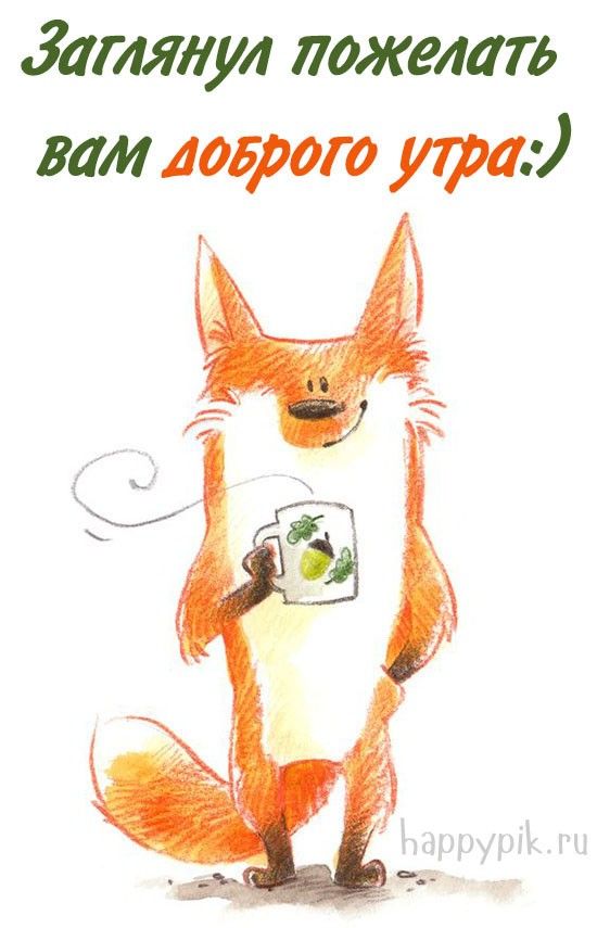 Позитивные картинки Доброе утро 😄 👇 – скачать