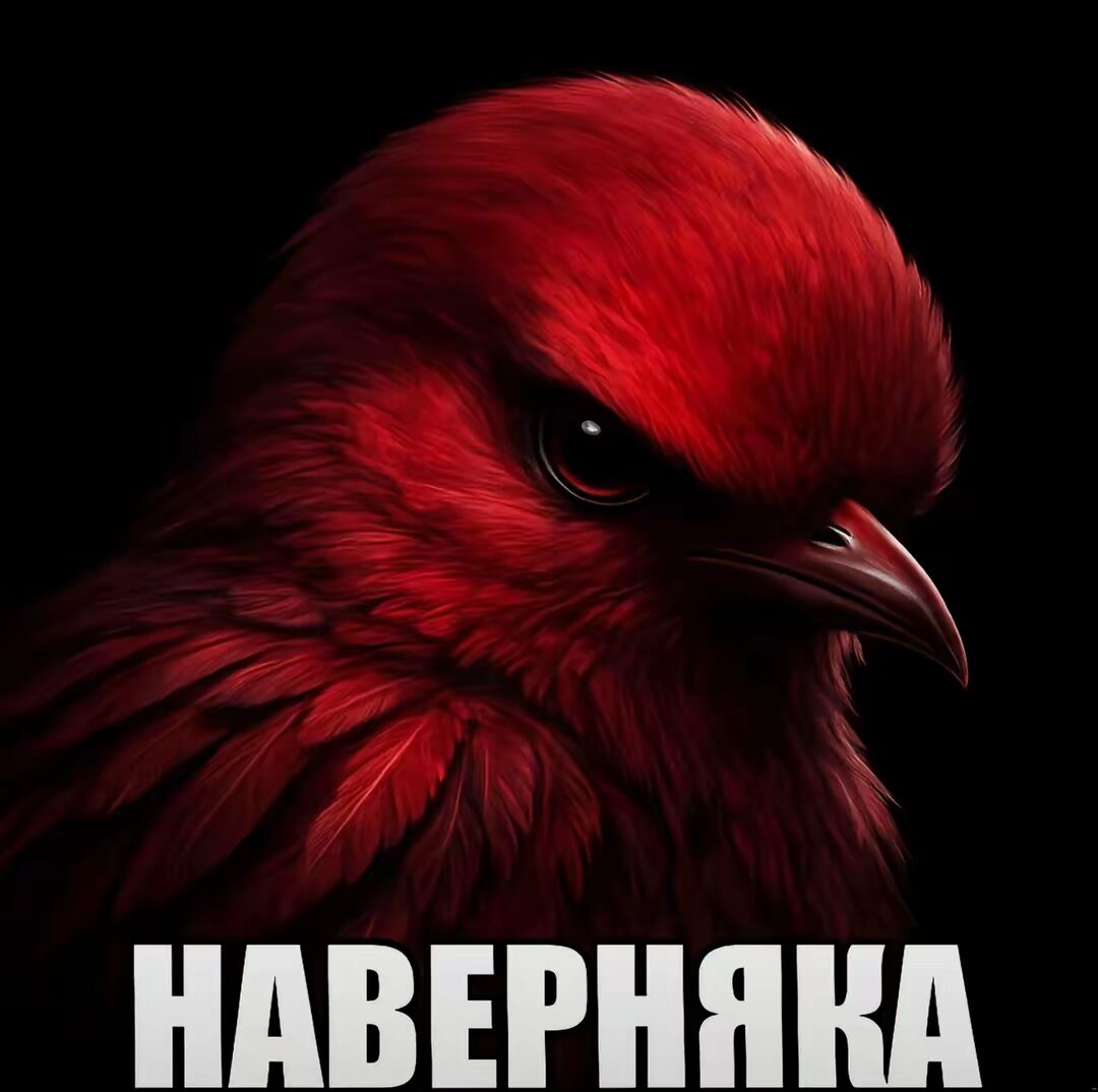 мем разноцветная птица с надписью