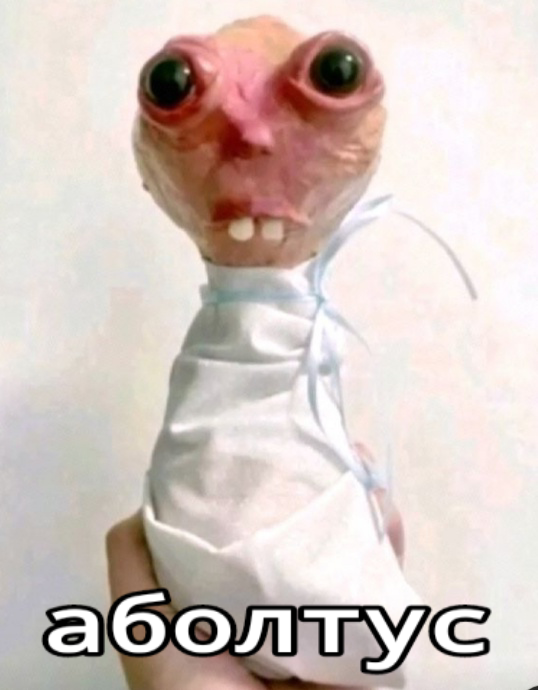 аболтус