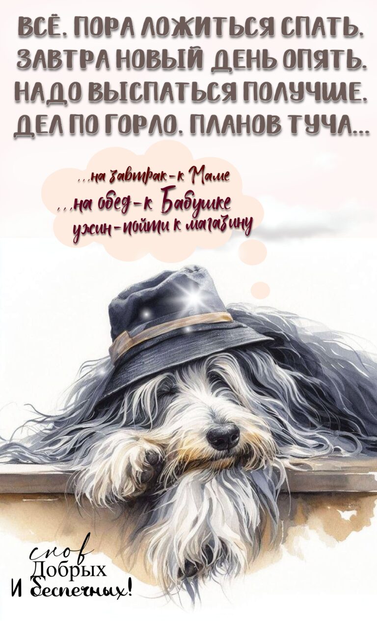 Снов Добрых🤗